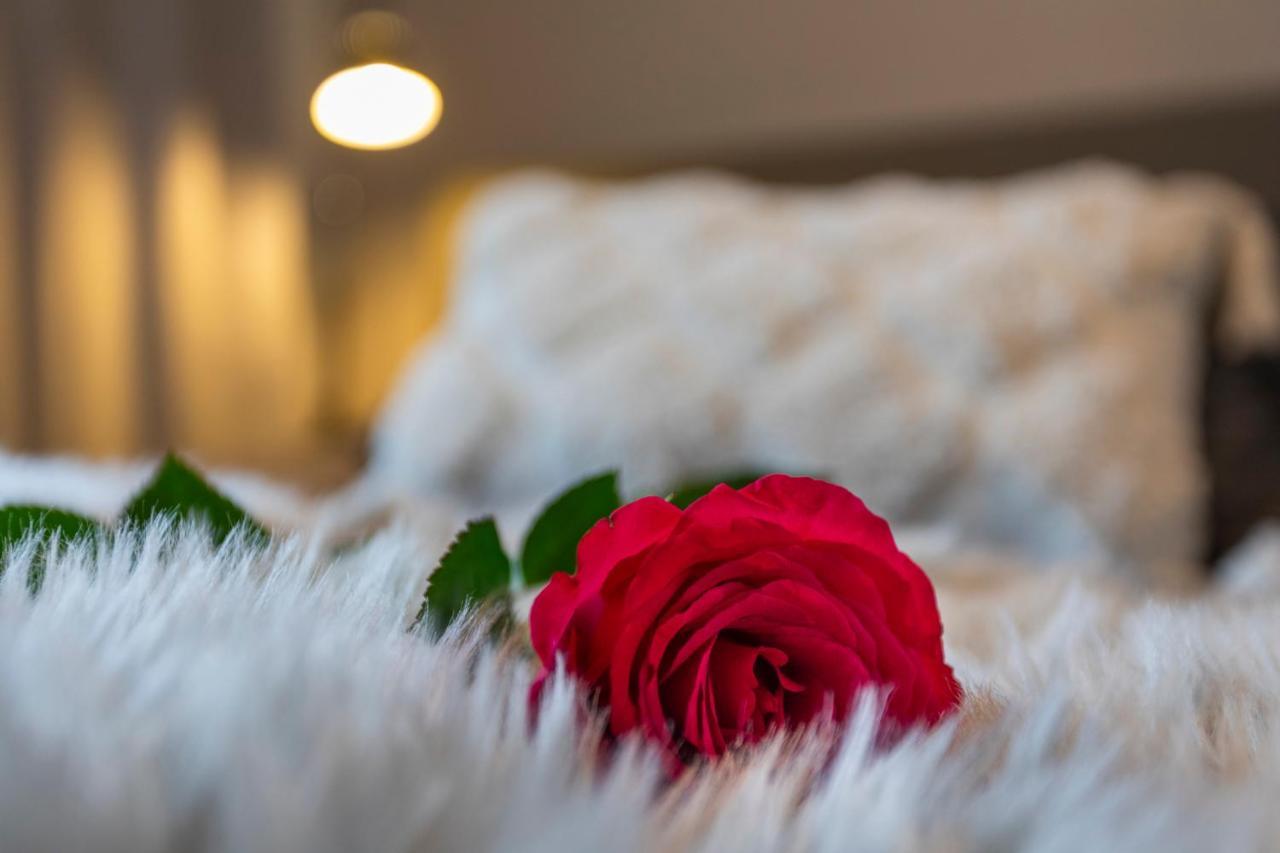Vasko Luxurious Suites, Soilu * Rovaniemi